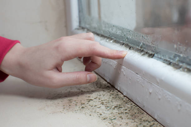 Best Post-Remediation Verification Testing  in Lake Cherokee, TX